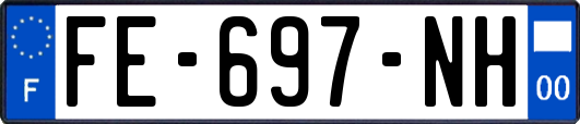 FE-697-NH