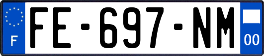 FE-697-NM