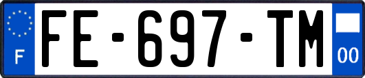 FE-697-TM