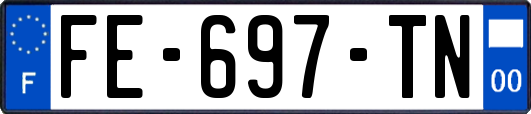 FE-697-TN