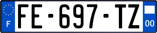 FE-697-TZ
