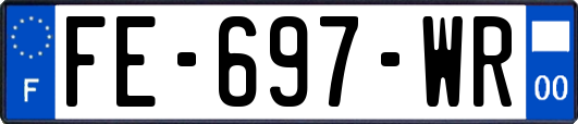 FE-697-WR