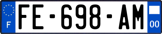 FE-698-AM