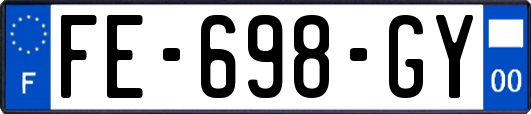 FE-698-GY