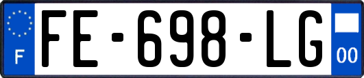 FE-698-LG