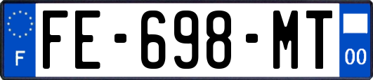 FE-698-MT