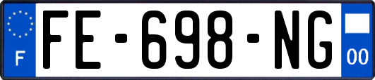 FE-698-NG
