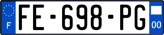 FE-698-PG