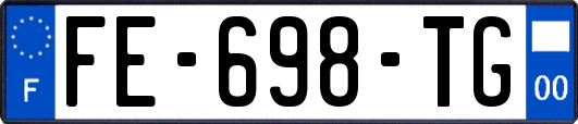 FE-698-TG