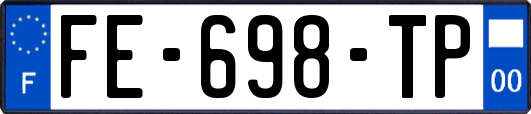 FE-698-TP
