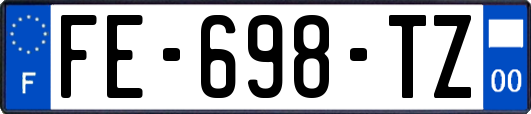 FE-698-TZ