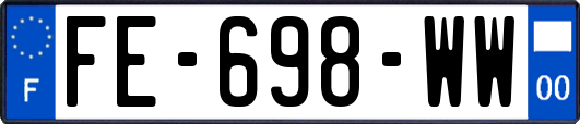 FE-698-WW