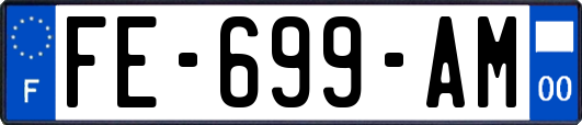 FE-699-AM