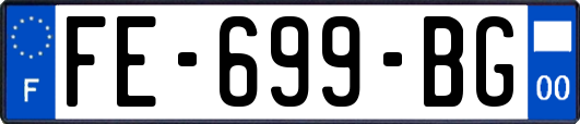 FE-699-BG