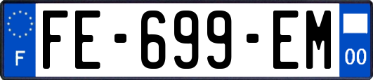 FE-699-EM