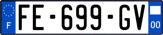 FE-699-GV