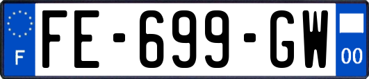 FE-699-GW