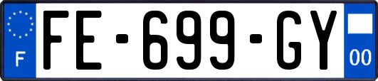 FE-699-GY