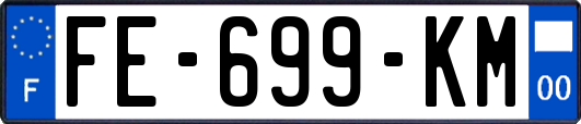 FE-699-KM