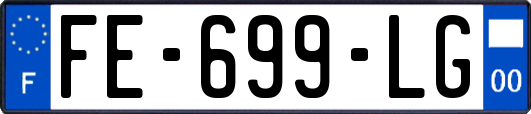 FE-699-LG