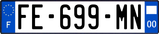 FE-699-MN
