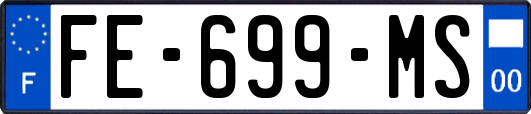 FE-699-MS
