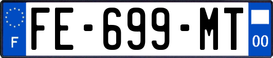 FE-699-MT