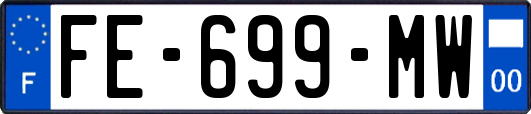 FE-699-MW