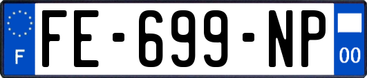 FE-699-NP