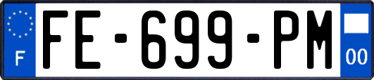 FE-699-PM