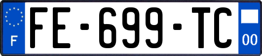 FE-699-TC