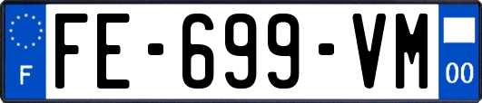 FE-699-VM