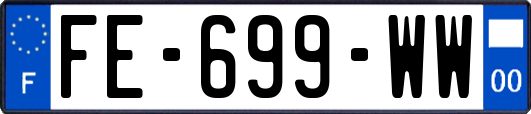 FE-699-WW
