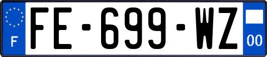 FE-699-WZ