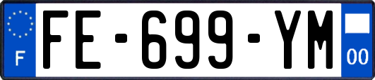 FE-699-YM