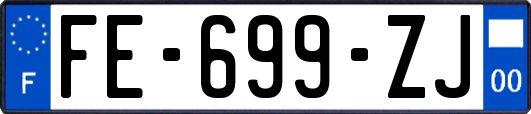 FE-699-ZJ