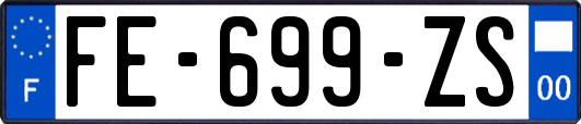 FE-699-ZS