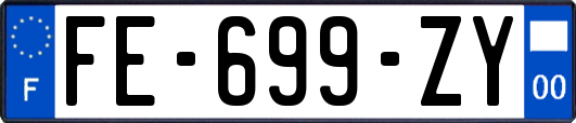 FE-699-ZY