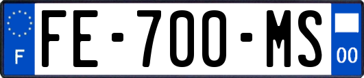 FE-700-MS