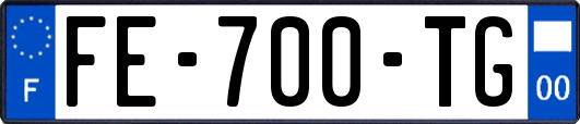 FE-700-TG