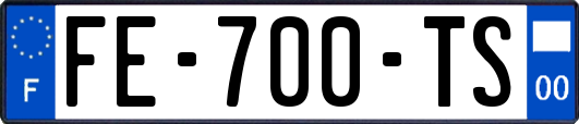 FE-700-TS