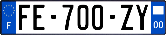 FE-700-ZY