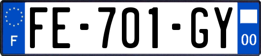 FE-701-GY