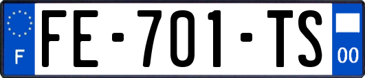 FE-701-TS
