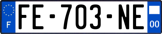 FE-703-NE