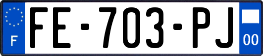 FE-703-PJ