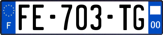 FE-703-TG