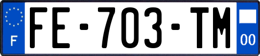 FE-703-TM