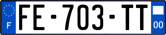 FE-703-TT