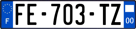 FE-703-TZ